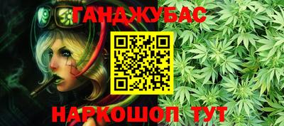 Альфа ПВП Можга